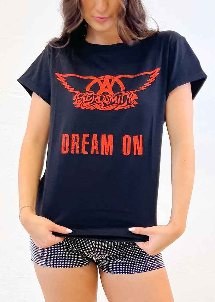 Recycled Karma Aerosmith Dream On Tee | Black